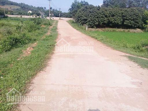 đất Sào đồng Nai Cách Tpbiên Hoà 10km 3