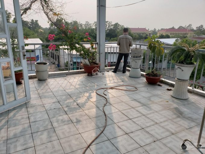 Nhà 11x15m Mặt Tiền Song Hành, Quốc Lộ 22 Gần Dương Công Khi - Nhà Máy Nước Tân Hiệp 3