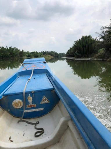 Sang Lại 3,5ha đất Vườn Mặt Tiền Sông ông Mai, Phú đông Thích Hợp Mua Phân Lô ạ (lưu ý đất đi Ghe) 2