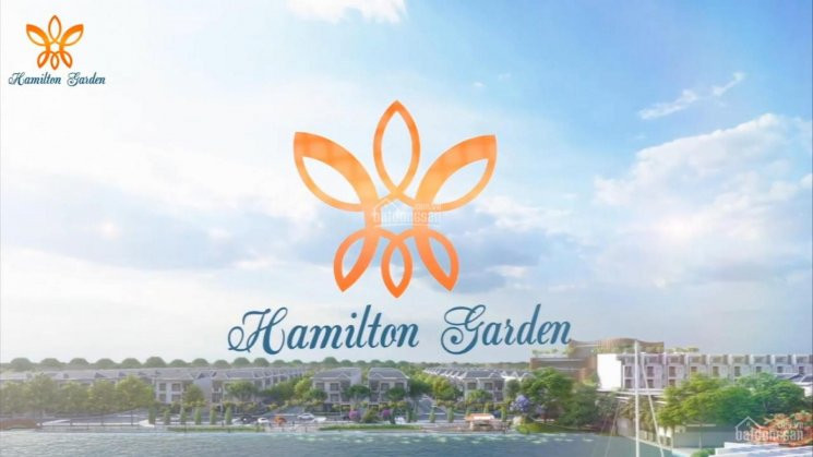 Sang Nhượng 5 Suất Nội Bộ Dự án Hamilton, đất Nền đức Hòa, Chiết Khấu 10%, Liên Hệ Nhanh 0909899391 1