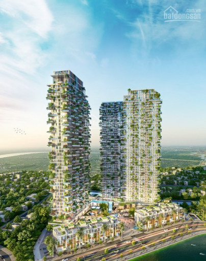 Sol Forest - Tòa Tháp đẹp Nhất Ecopark Chỉ Cần Có 300 Triệu Bạn Sở Hữu Ngay 2pn 0989601015 3