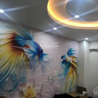 295 Tỷ Có Ngay Nhà ô Tô 10m, 36m2 X 4t Bùi Xương Trạch