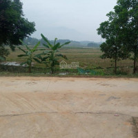 Chính Chủ Bán Nhanh 2681m2 đất Nghỉ Dưỡng View đẹp Tại Xã Nhuận Trạch Huyện Lương Sơn Hoà Bình