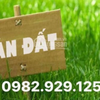 Chính Chủ Bán Nhanh đất Biệt Thự đỉnh Long Thành Phố Hải Dương