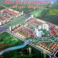 Chính Chủ Bán Nhanh Liền Kề Cienco 5 Huyện Mê Linh 100m2, Nhìn Sang Trường đại Học Tài Chính Mê Linh