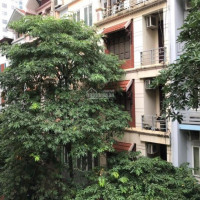 Chính Chủ Bán Nhanh Nhà 73m2, Mt 9m Vỉa Hè Rộng 6m Kinh Doanh Sầm Uất Phố Dương Khuê, Cầu Giấy Giá 14 Tỷ