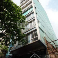 Chính Chủ Cho Thuê Nhanh! Tòa Nhà Bùi Thị Xuân, Dt 10x20m, Hầm, 8 Lầu Giá 280tr/th Trung Tâm Q1