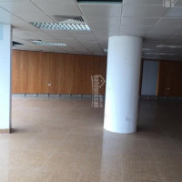 Chính Chủ Cho Thuê Nhanh Văn Phòng Quận Thanh Xuân Phố Nguyễn Trãi, 50m2, 150m2, 700m2, Giá 150 Nghìn/m2/tháng