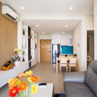 Cho Thuê Căn Hộ đảo Kim Cương 1pn, Muốn Có Nhà đẹp, Giá Rẻ, Hãy Gọi Ngay 0906 672 876