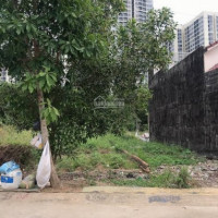 Chủ Hạ Giá Bán 1 Lô 75m2 Giá 3ty  Hẻm 545 Châu Long Nguyễn Xiển đối Diện Vin Homes