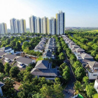 Chung Cư Rừng Cọ Ecopark Cần Bán, Cho Thuê Lh 0978001982 (không Mất Phí)