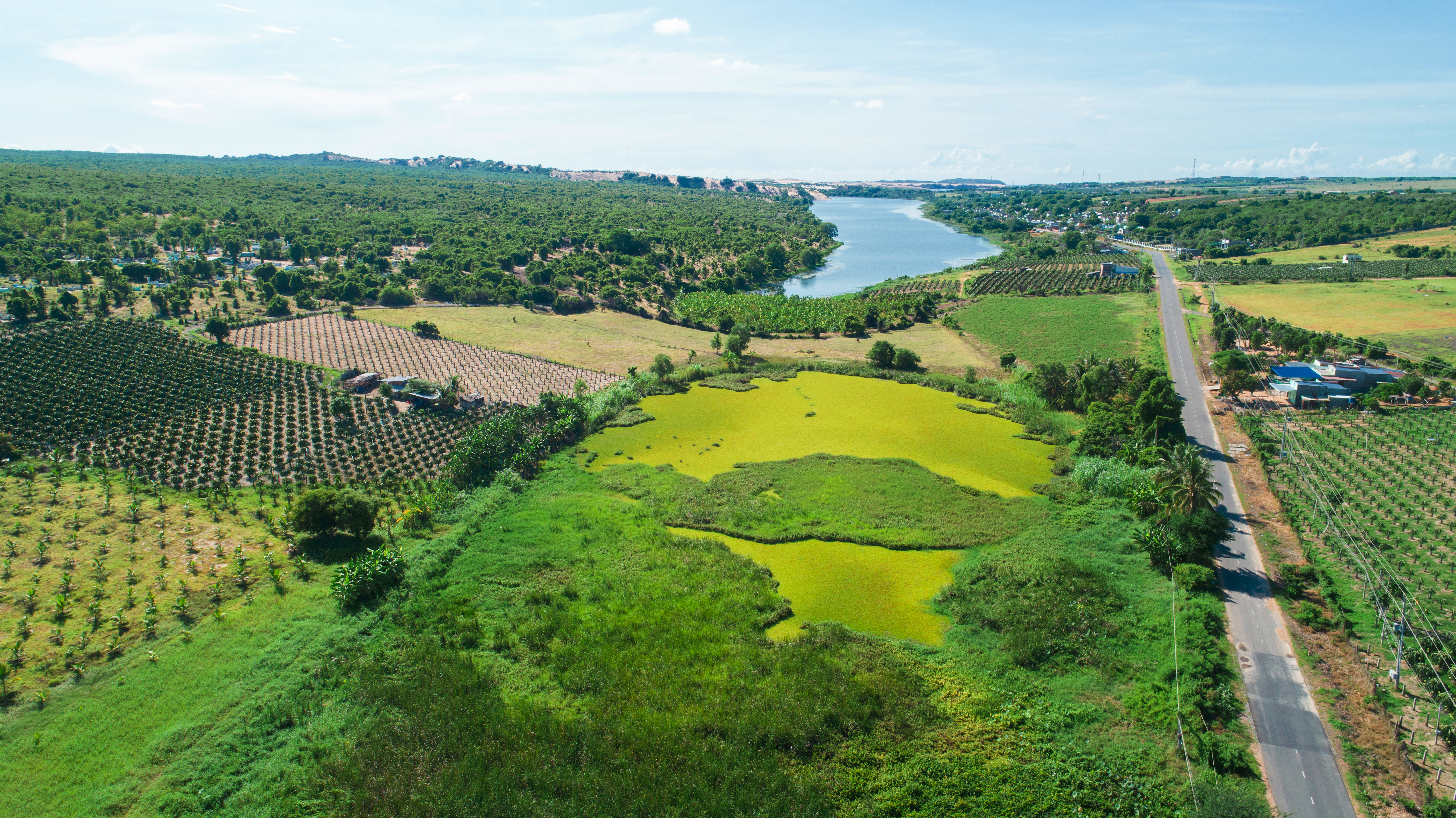 Đất nông nghiệp, sổ đỏ, gần QL1A - Bao sang tên công chứng Đất nông nghiệp, sổ đỏ, công chứng ngay 3