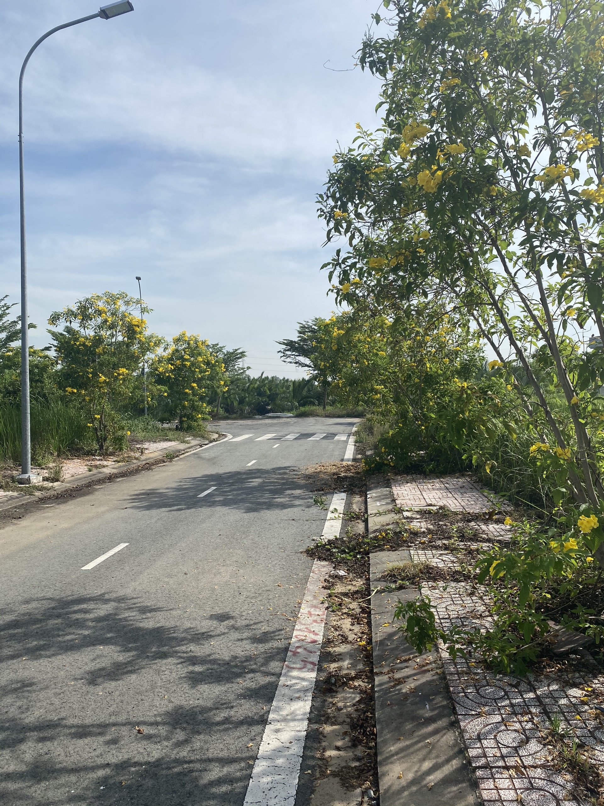 Chính Chủ Bán Nhanh- Lô B37, Dự án Centana điền Phúc Thành, Q9, 56m2, Giá 2ty760 >   Lh 0909343761 Tài Nắm Chủ 3