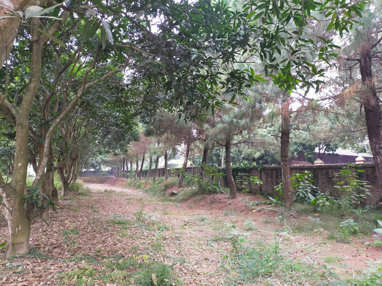 Cần bán Đất đường Liên Xã, Xã Hòa Sơn, Diện tích 7566m², Giá Thương lượng - LH: 0866983238