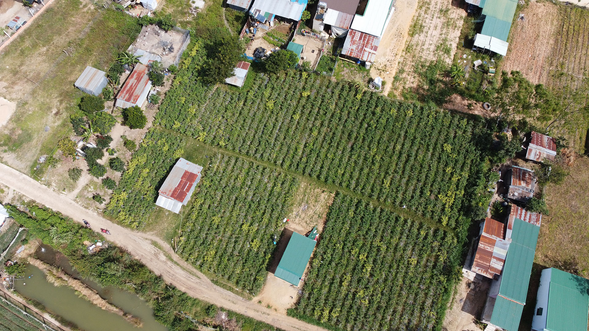 Cần bán Đất Xã Lạc Xuân, Đơn Dương, Diện tích 350m², Giá 580 Triệu - LH: 0969897945 2