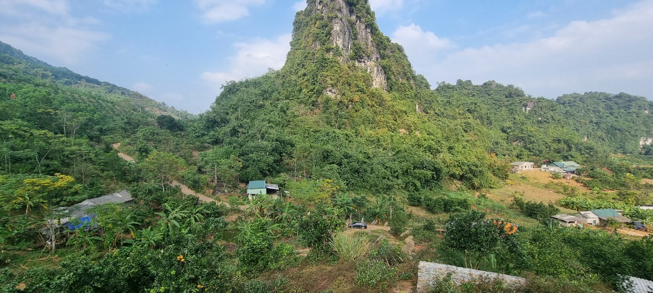 Cần bán Đất vie núi thoáng, Xã Tây Phong, Diện tích 10000m², Giá 2700 Triệu - LH: 0705485999 1