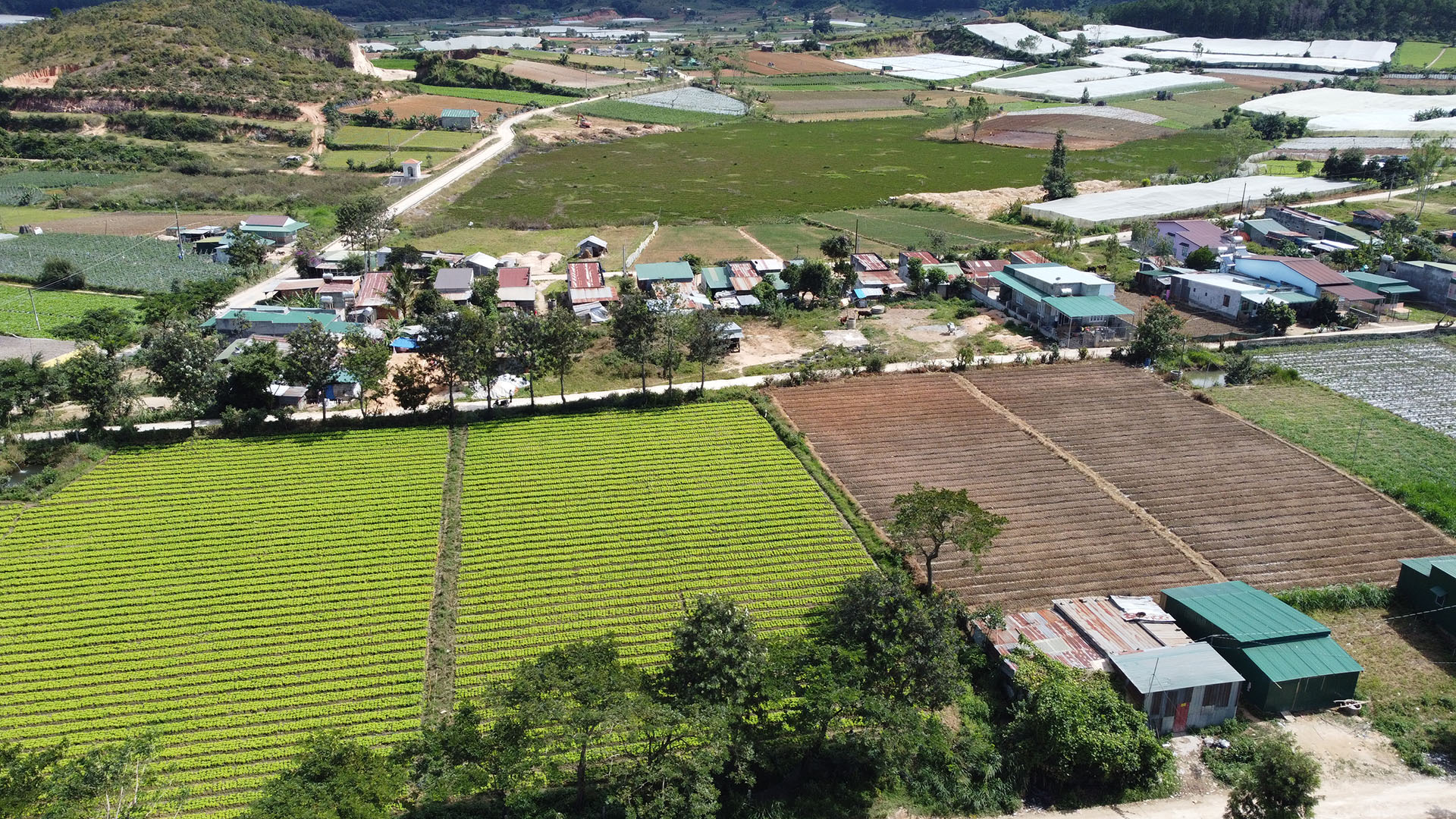 Cần bán Đất Xã Lạc Lâm, Đơn Dương, Diện tích 288m², Giá 620 Triệu - LH: 0969897945 4