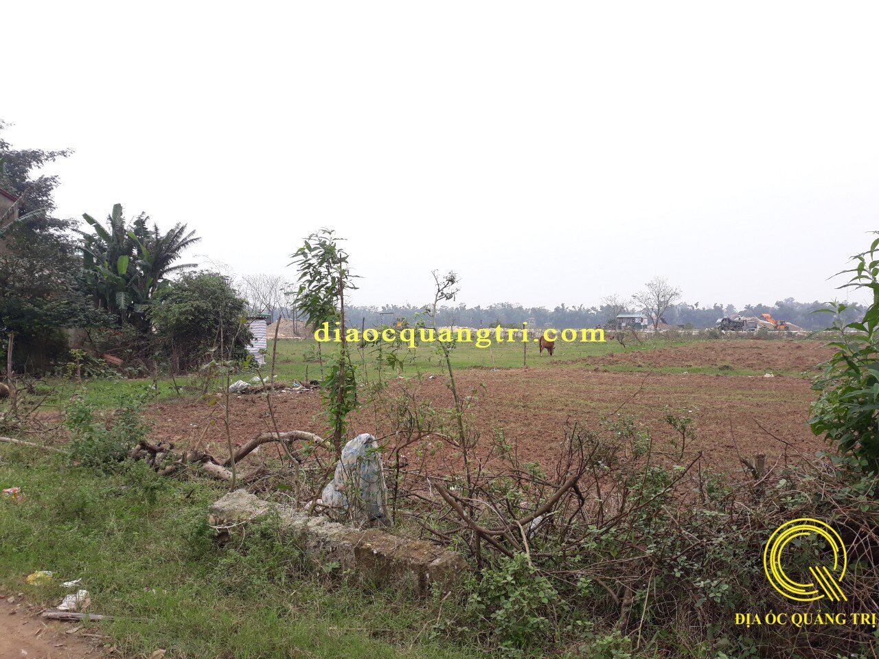 Cần bán Đất Xã Triệu Thành, Triệu Phong, Diện tích 134m², Giá Thương lượng - LH: 0969248188