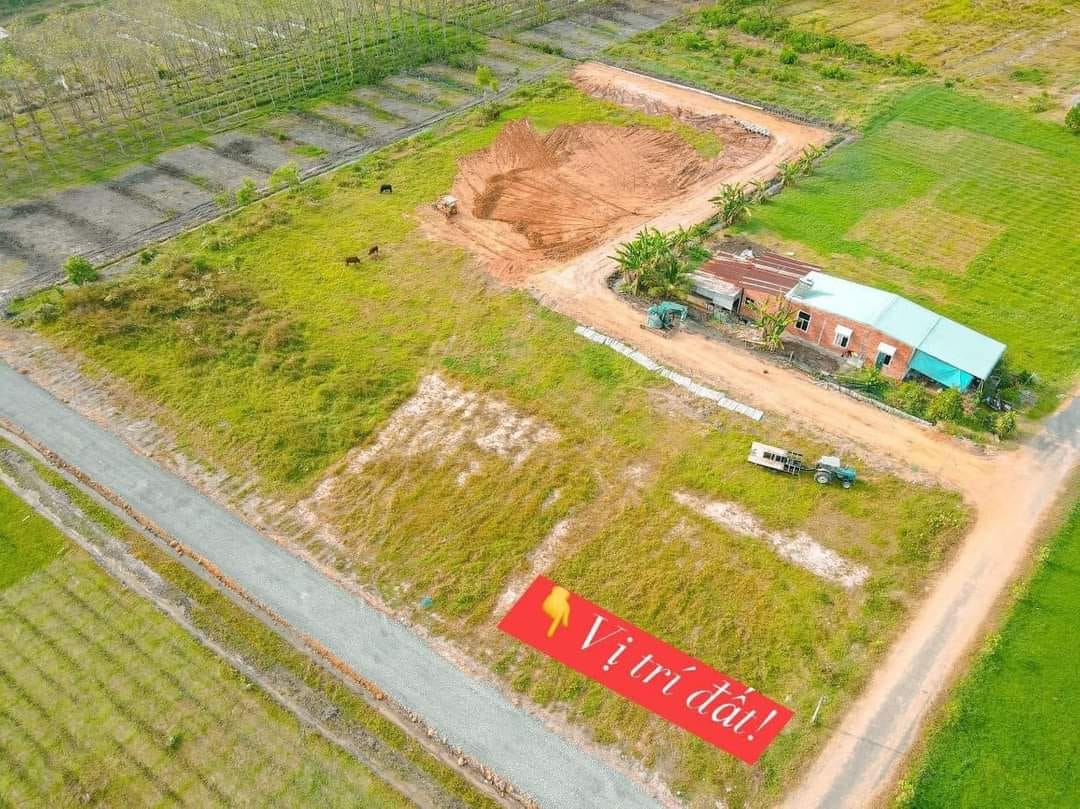 Em còn vài lô đất TP Tây Ninh cần bán, đại hạ giá chỉ hơn 400tr/ nền