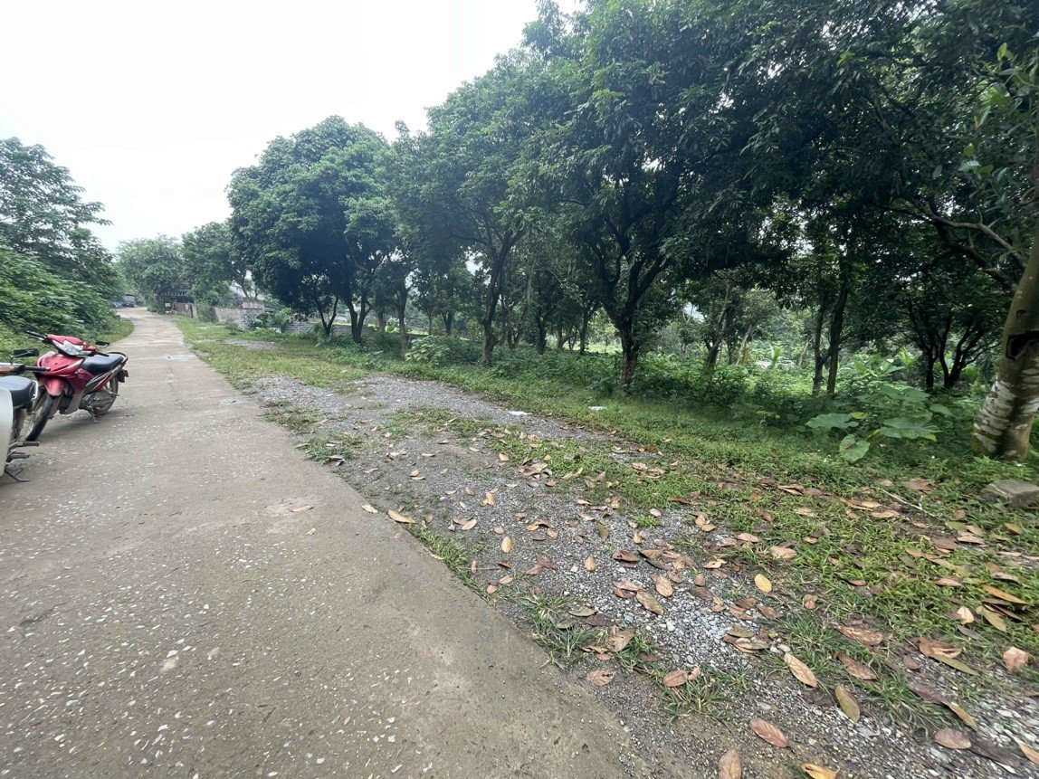 Cần bán Đất đường Quốc lộ 6, Thị trấn Lương Sơn, Diện tích 530m², Giá 2.2 Tỷ 1