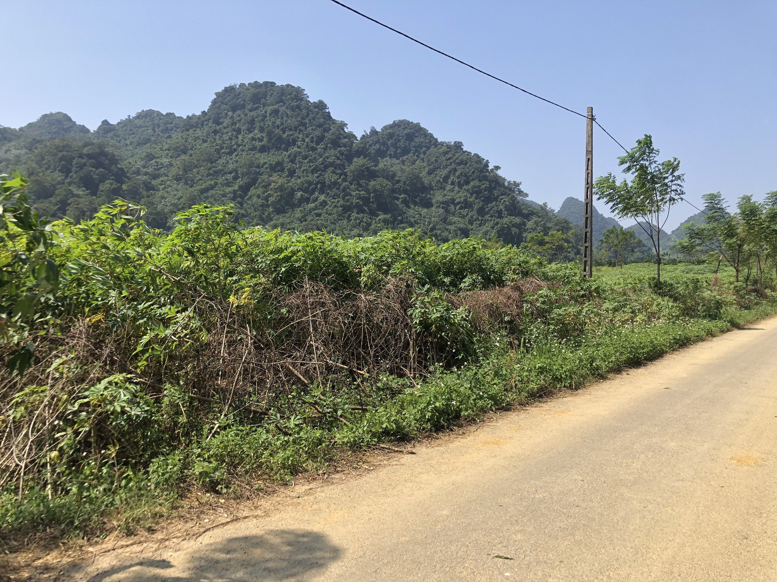 Cần bán Đất Xã Tú Sơn, Kim Bôi, Diện tích 860m², Giá 1.5 Tỷ 4