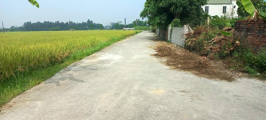 Cần bán Đất đường Quốc lộ 3, Xã Tân Minh, Sóc Sơn, Diện tích 120m², Giá 3 Tỷ 3