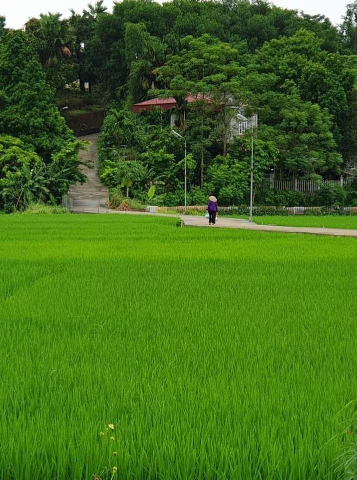 Bán mảnh đất vườn ở  Xã Phú Xuân, TP Thái Bình 1