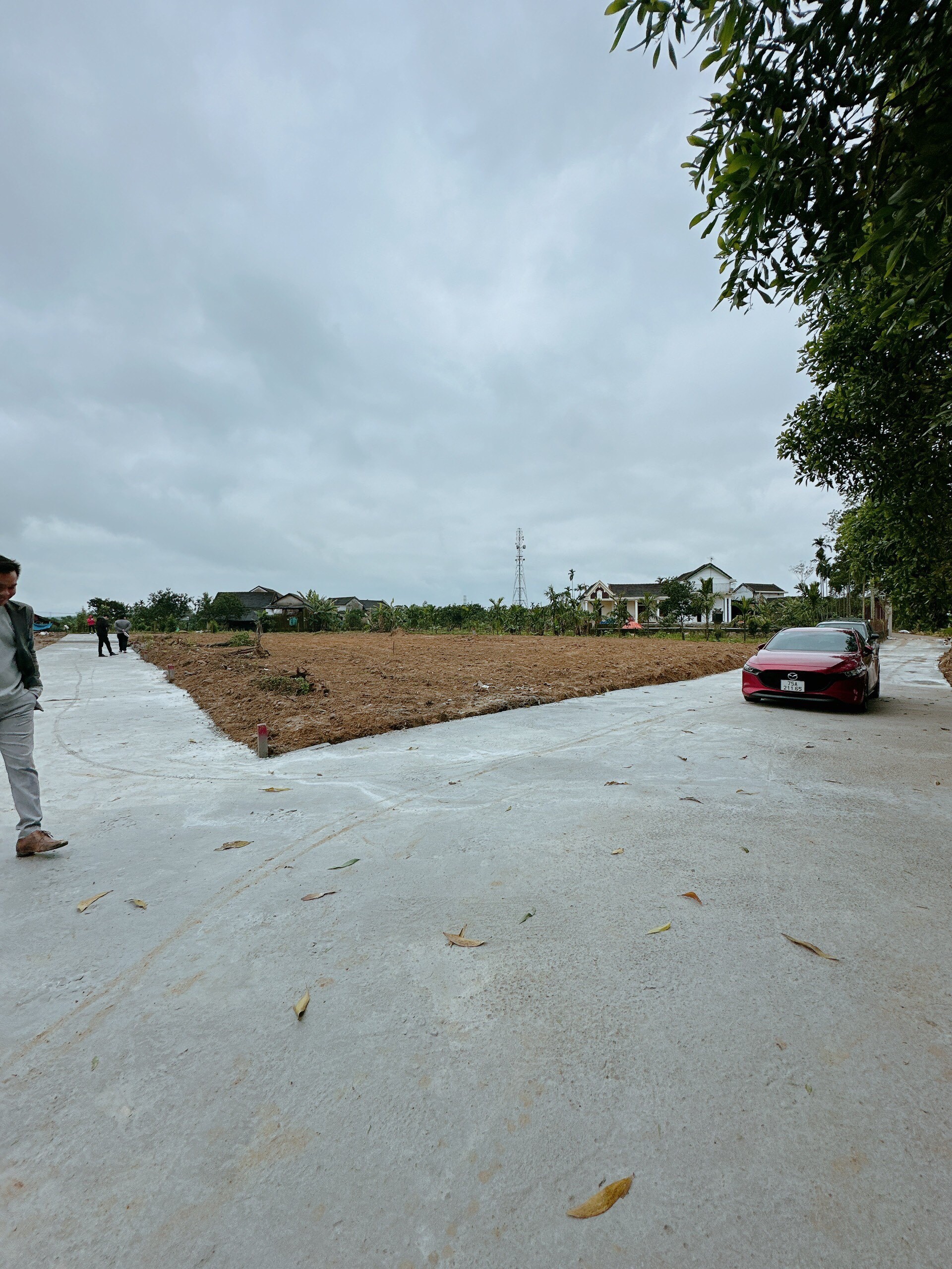 Cần bán Đất đường Quốc lộ 1A, Xã Phong Thu, Diện tích 140m², Giá 390.000.000 Triệu 7