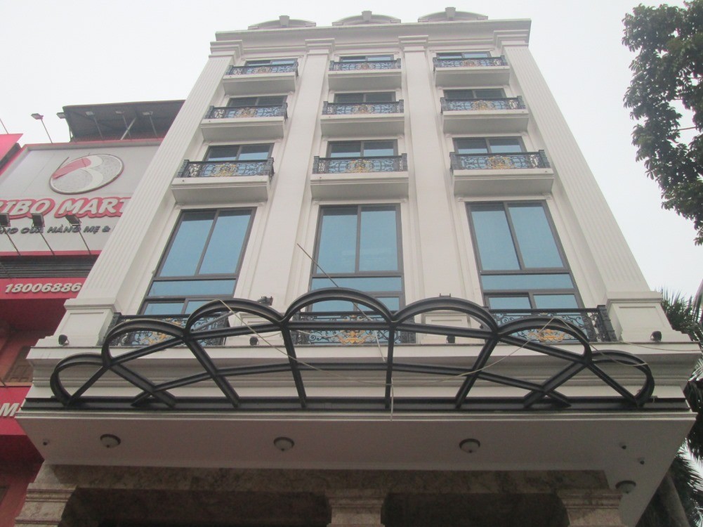 Nợ bank bán Gấp tòa building mặt phố Bà Triệu sầm uất gần phố Tuệ Tĩnh 202m2 chỉ 86.8 tỷ. 1