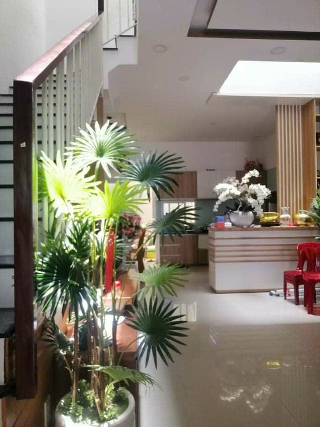 Cần bán Nhà mặt tiền đường 29, Phường Phước Hải, Diện tích 80m², Giá 6.6 Tỷ 1