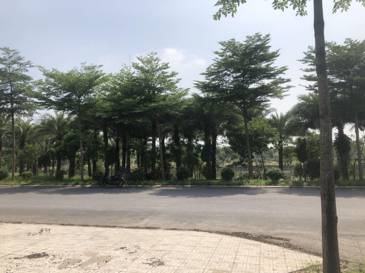 Cần bán Biệt thự Từ Sơn, Bắc Ninh, Diện tích 400m², Giá Thương lượng 5