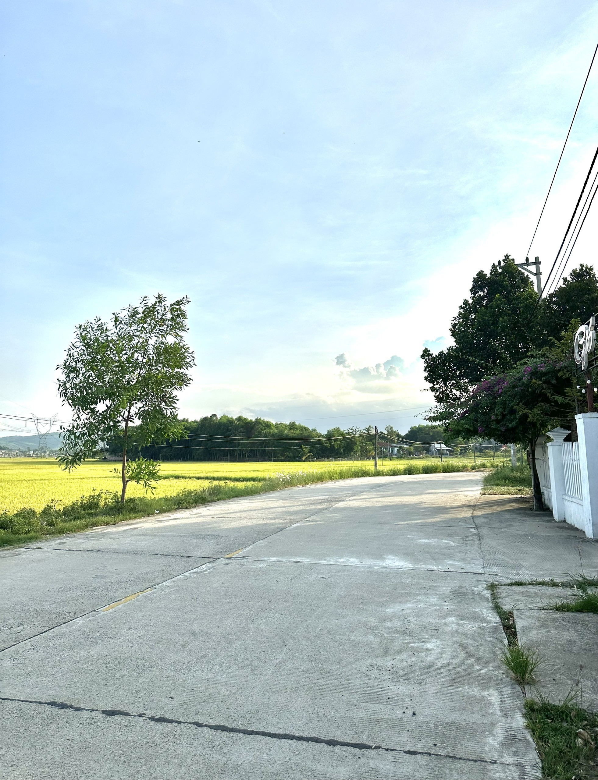 Cần bán lô đất ở Hòa Phong gần đường lộ, view cánh đồng thoáng mát 2