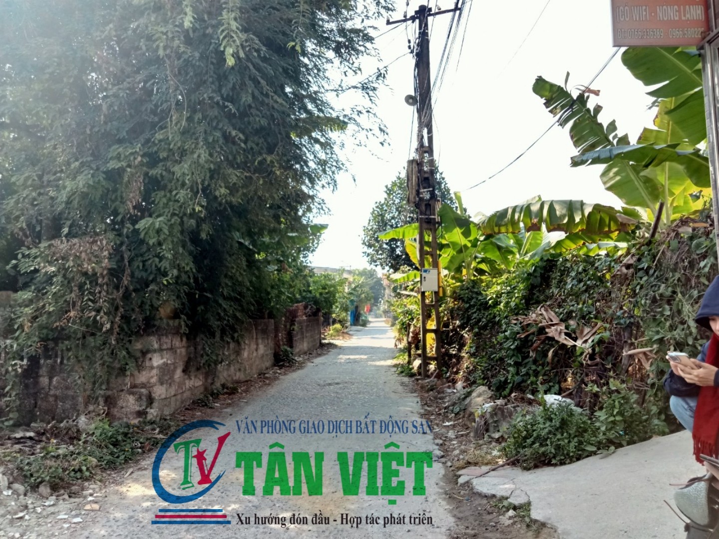 Cần bán Đất đường 359, Xã Thiên Hương, Diện tích 115m², Giá 1.5 Tỷ 7