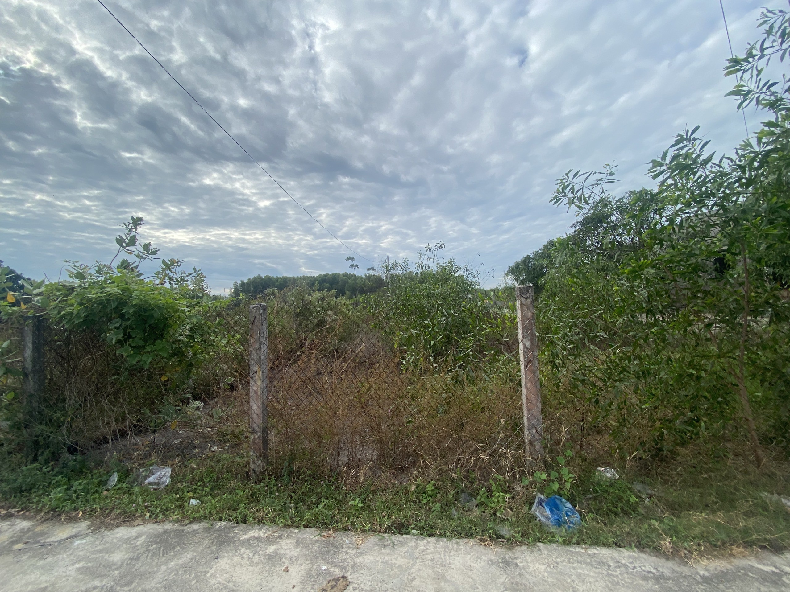 Bán Gấp đất thổ cư gần biển Cam Bình thị xã LaGi 8x35m xã Tân Phước-sổ riêng-Giá 1,2 tỷ 3