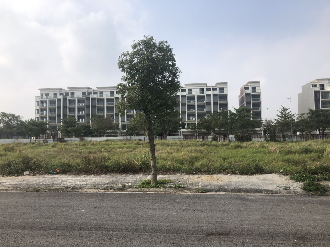 Cần bán Đất Từ Sơn, Bắc Ninh, Diện tích 142m², Giá Thương lượng