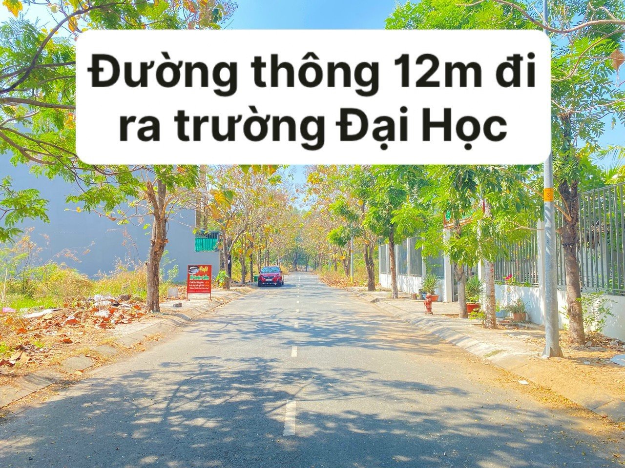 Cần bán Đất Phường Cát Lái, Quận 2, Diện tích 232m², Giá 9.9 Tỷ 3