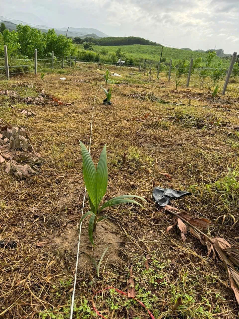 Bán đất vườn Khánh Trung mặt đường bê tông liên thông rộng 7m - gần Farm Hoa Quả Sơn 4