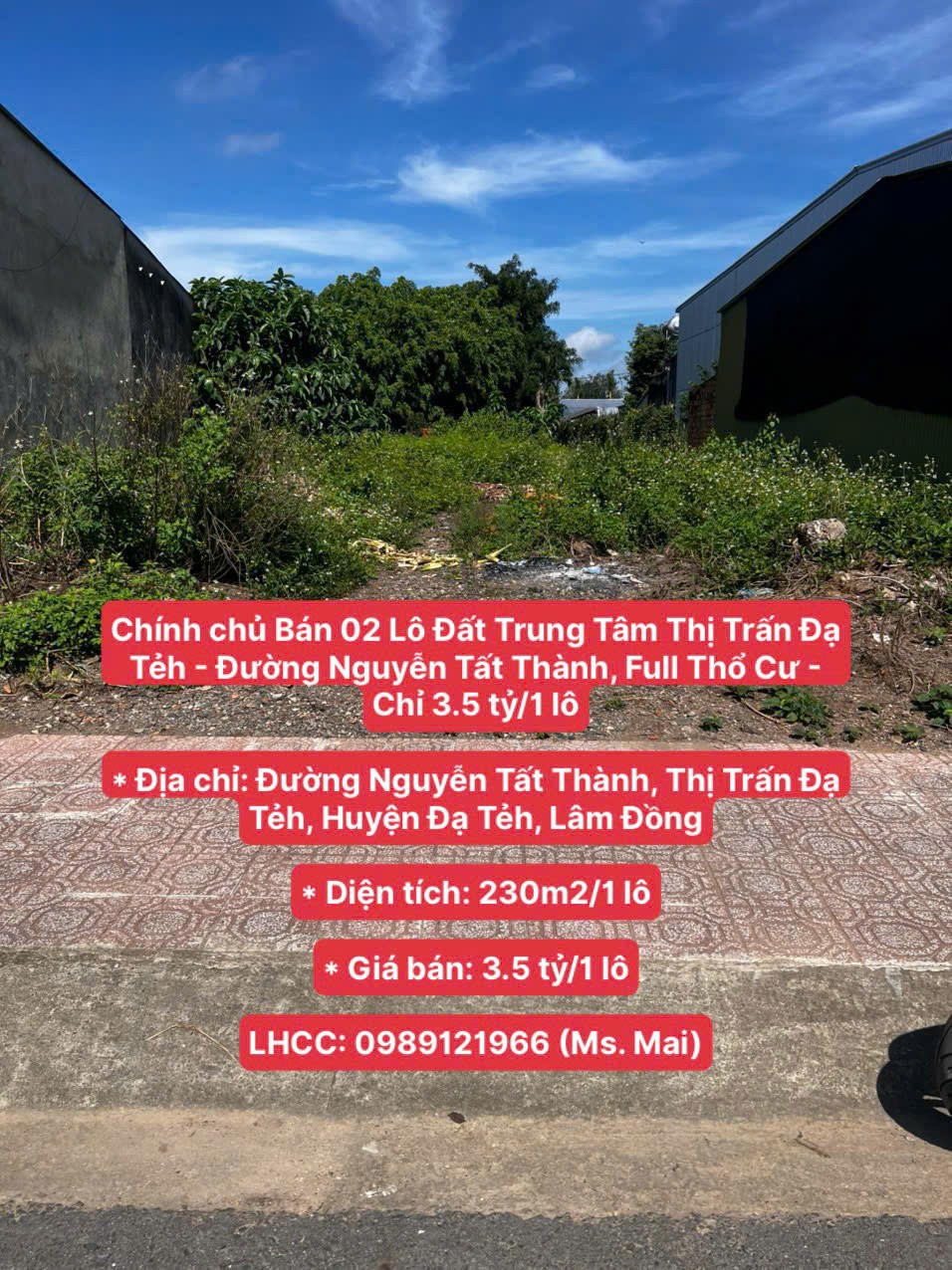 Chính chủ Bán 02 Lô Đất Trung Tâm T.T Đạ Tẻh - Đường Nguyễn Tất Thành, Full Thổ Cư - Chỉ 3.5 tỷ/1