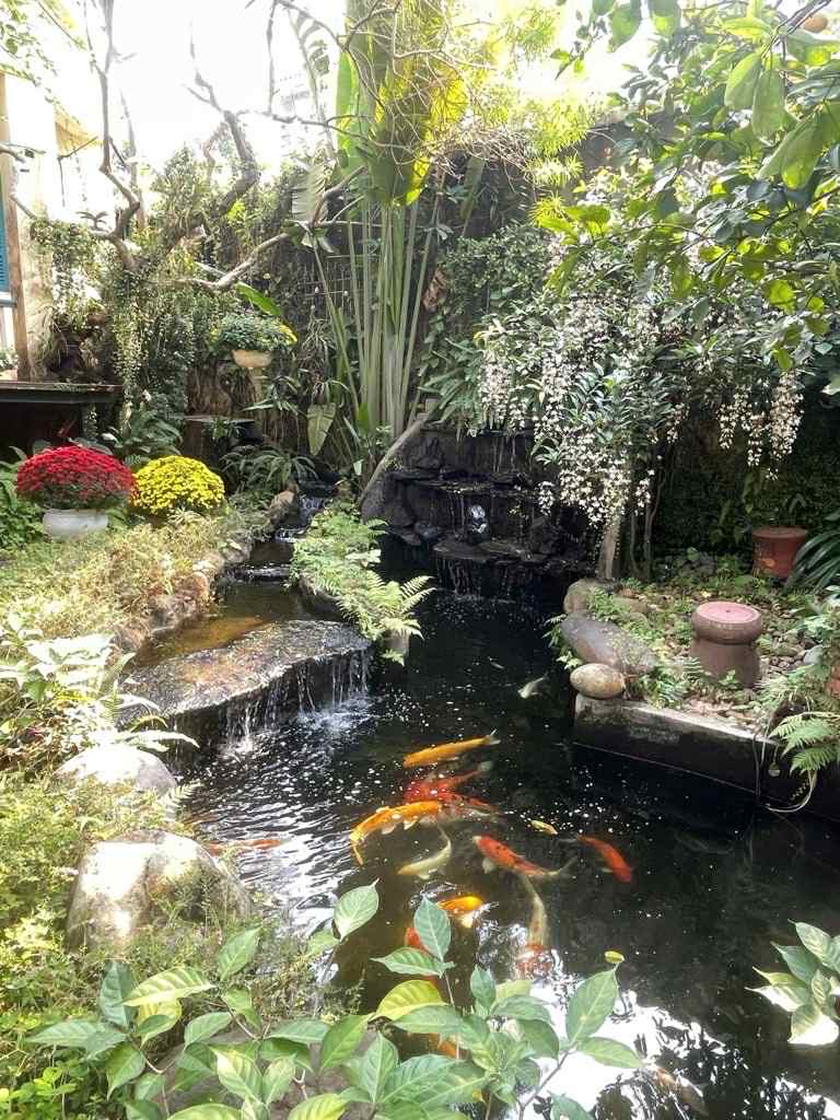 biệt thự sân vườn Ngọc Thụy, 430m x 4 tầng, mặt tiền 11m, ôtô tránh, full thổ cư 3