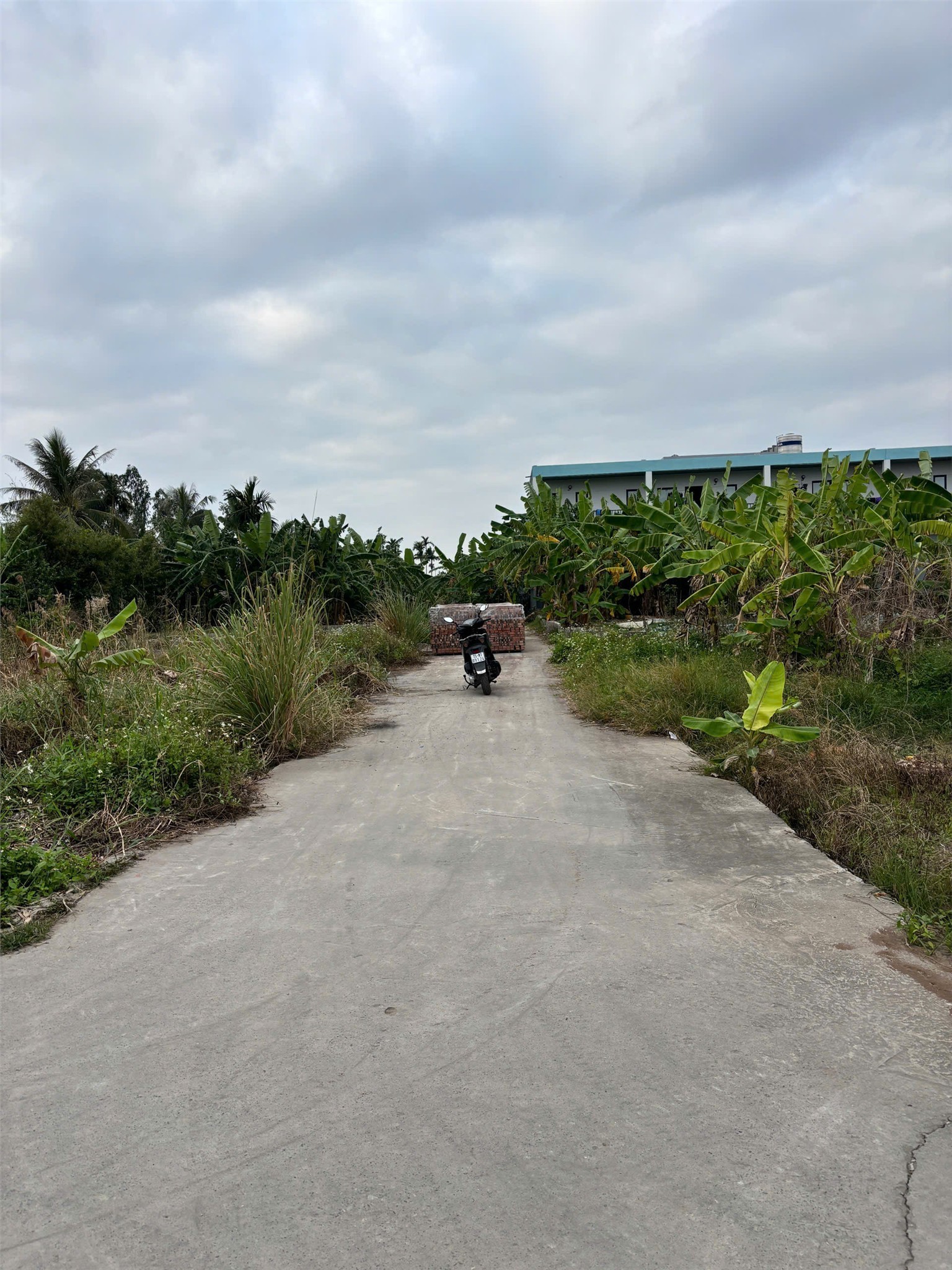 Đất thổ cư 87m² Quý Kim – Hợp Đức – Đồ Sơn  Cách đường 353 hơn 100m  Giá đầu tư hiếm khu dân cư