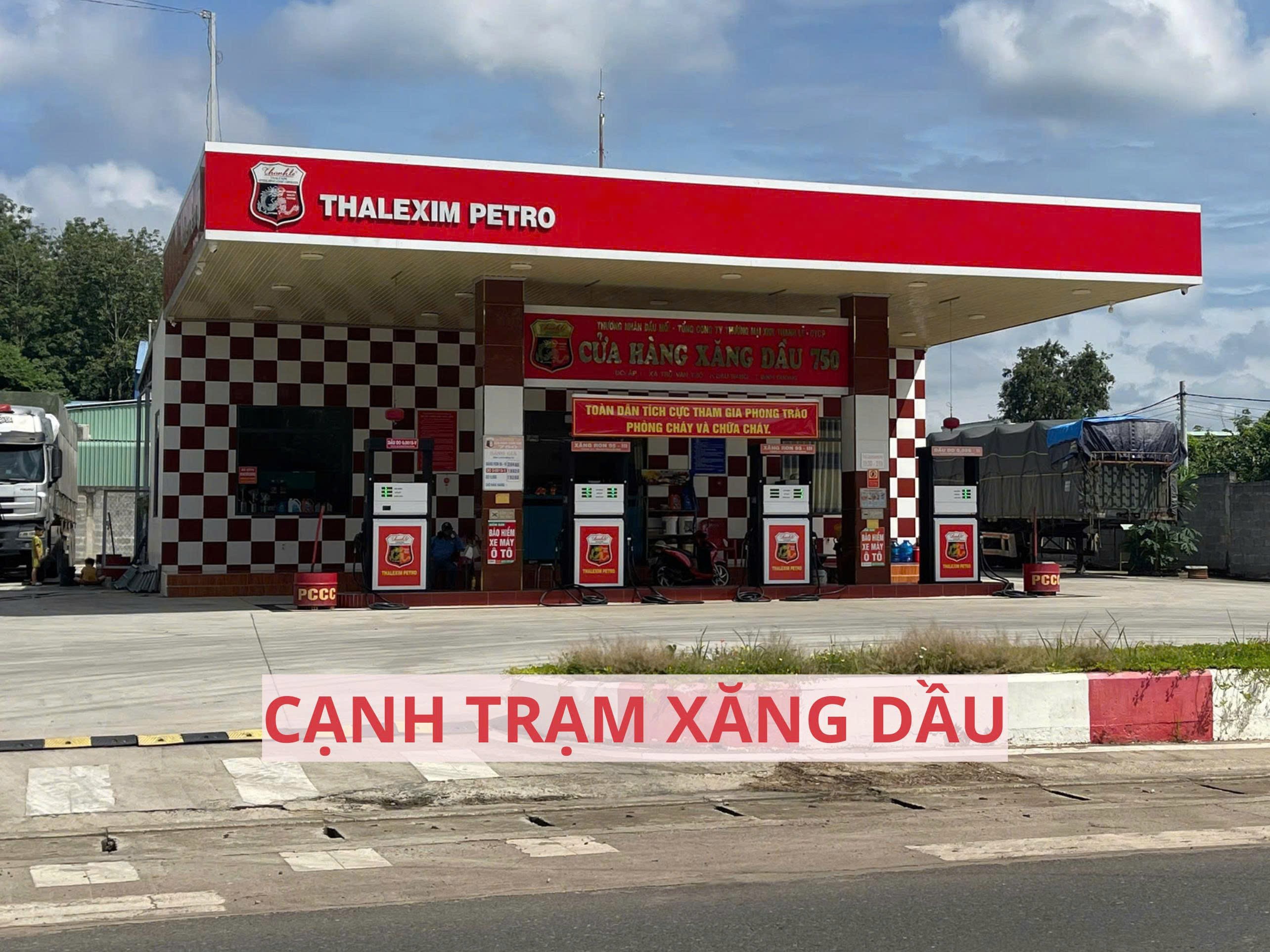 ĐẤT VƯỜN BƯỞI BÌNH DƯƠNG 263M² – CÓ THỔ CƯ, GIÁ 950TR 5