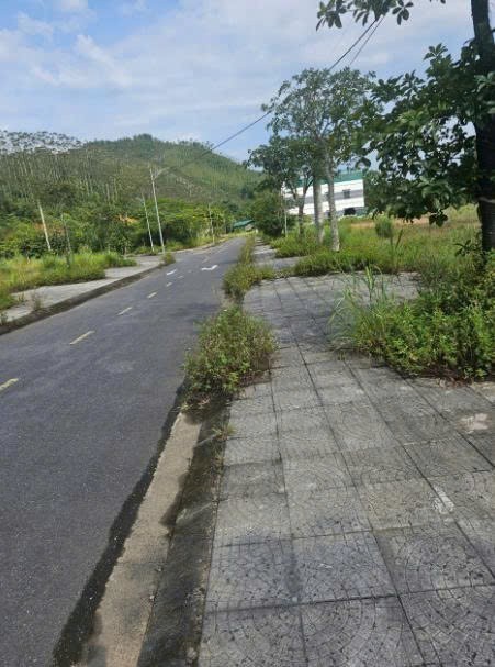 Cần bán Đất Thị trấn Yên Lập, Yên Lập, Diện tích 198m², Giá 39 Triệu/m²