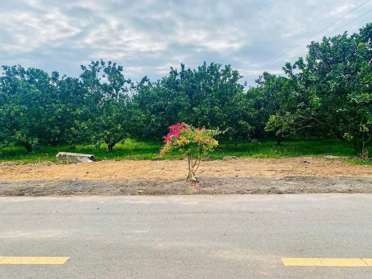 Bàu Bàng – Mua trước hôm nay, đón sóng tăng giá ngày mai