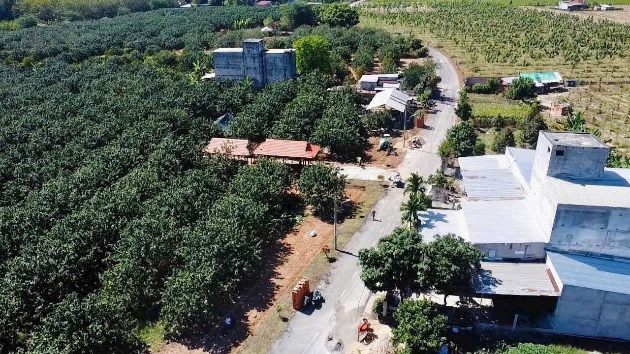 Đất thổ cư Trừ Văn Thố – Bàu Bàng, cơ hội tốt để sở hữu 11