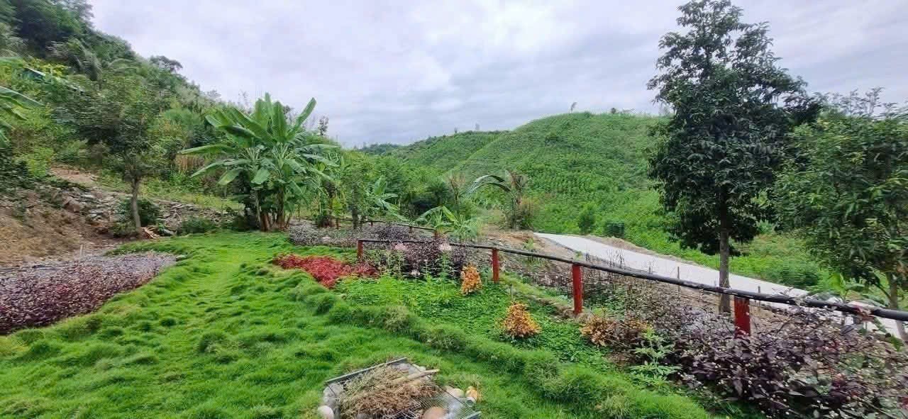 Bán Farm Khánh Phú đã lên mô hình khai thác ổn định - QH full thổ cư gần Quốc Lộ 27C 3