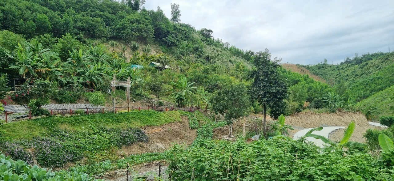 Bán Farm Khánh Phú đã lên mô hình khai thác ổn định - QH full thổ cư gần Quốc Lộ 27C 18