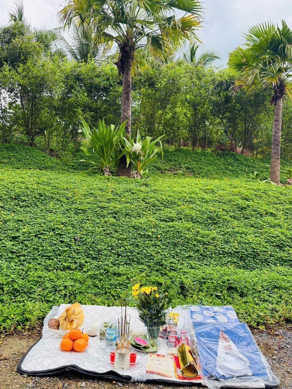 Bán Farm Khánh Phú đã lên mô hình khai thác ổn định - QH full thổ cư gần Quốc Lộ 27C 28
