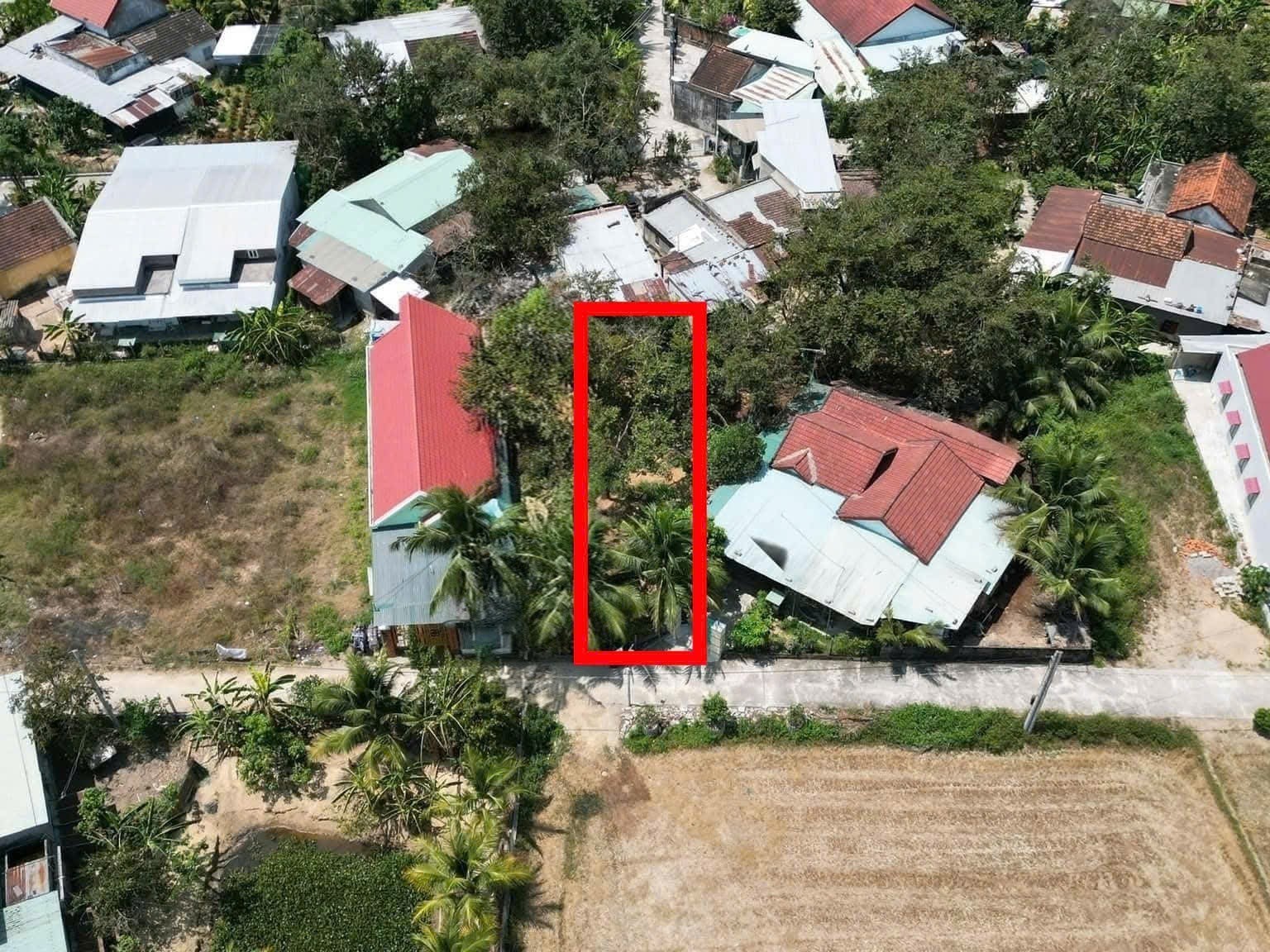 Bán đất Bình Lộc thôn Nghiệp Thành - nguồn gốc đất dân cắt bán view cánh đồng lúa mát mẻ 4