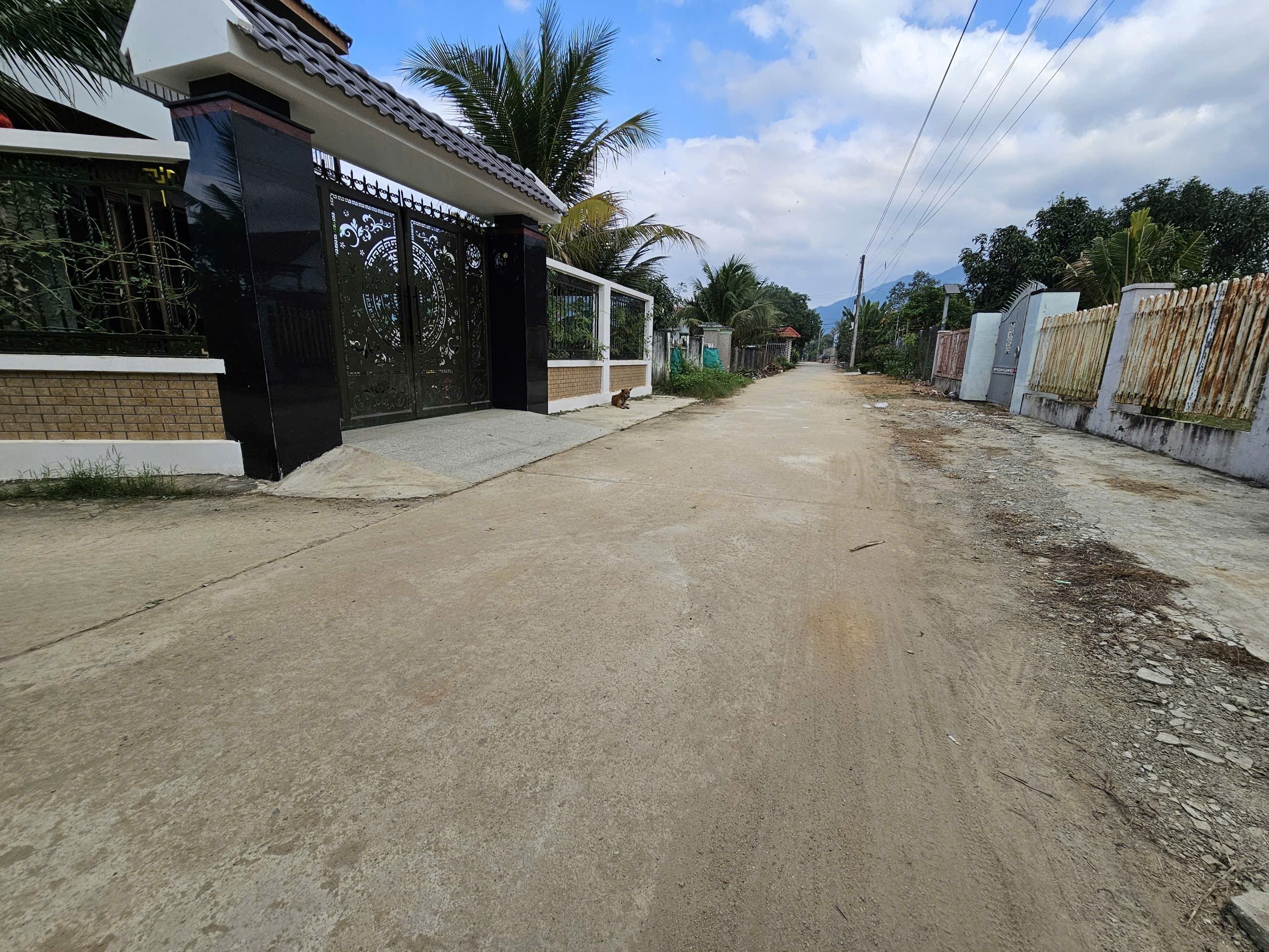 Bán đất Diên Đồng thôn Đồng Trăn 1 full thổ cư - lô góc 2 mặt tiền đường thông tứ hướng 5