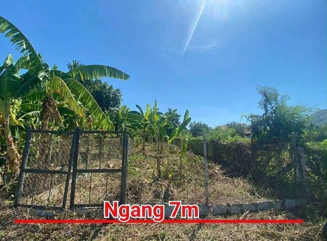 Bán đất Diên Toàn gần chợ thôn Phước Trạch đường thông view cánh đồng mát mẻ